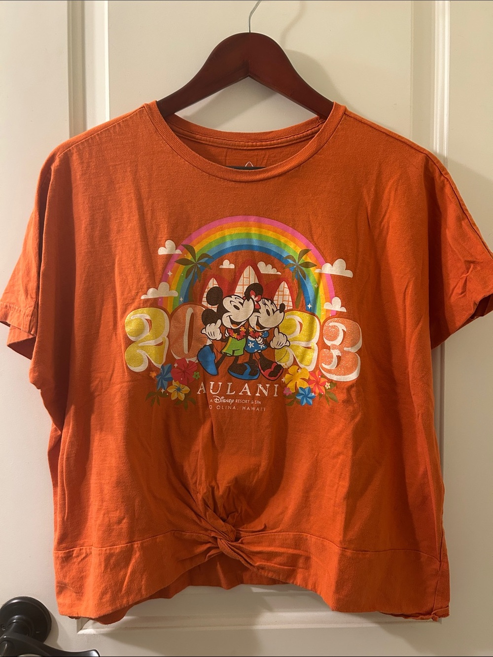 Disney Aulani Resort 2023 Mickey & Minnie Graphics with Rainbow, Sz XL